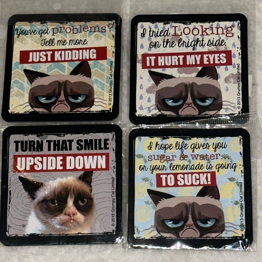 Grumpy Cat Magnet Set 4 Pack Funny Sarcastic Meme Quotes 2013 Collectible